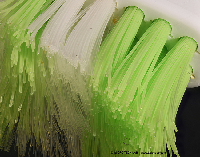 LM Makroskop Hygiene hohe Vergr��erung Zahnb�rste